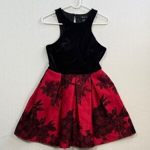 Teeze Me Velvet Black and Red Floral Mini Dress